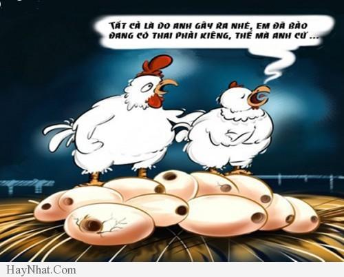 hinh anh hai huoc con ga