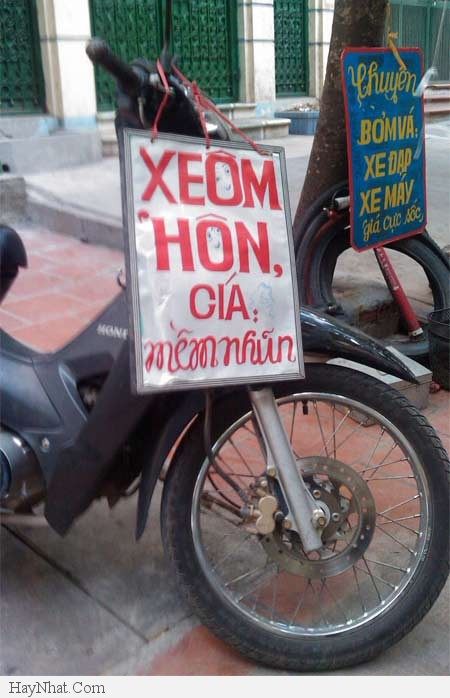 Hình ảnh vui tổng hợp 21213 29