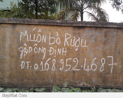 Hình ảnh vui tổng hợp 21213 18