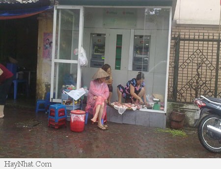 Hình ảnh vui tổng hợp 21213 27