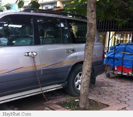 Ảnh vui tổng hợp (5213) 15