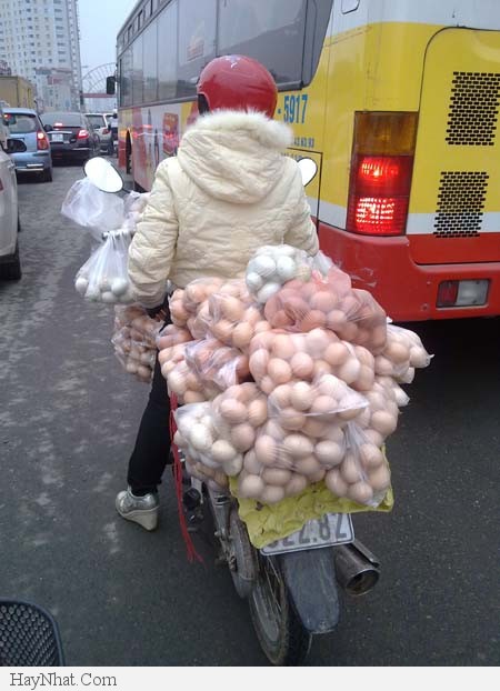 Ảnh vui tổng hợp (5213) 17