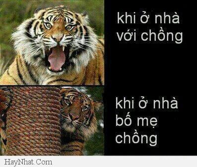 anh vui 2023 tam ly phu nu