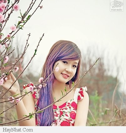 hinh anh dep con gai viet nam la so 1