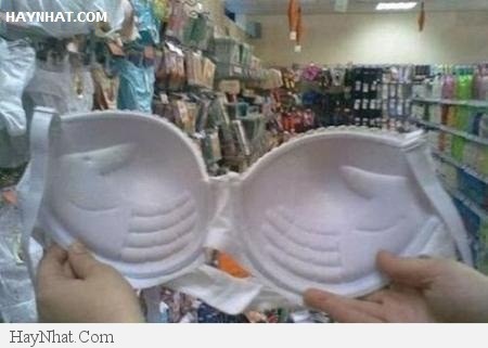 Hình ảnh vui tổng hợp - 19313 47