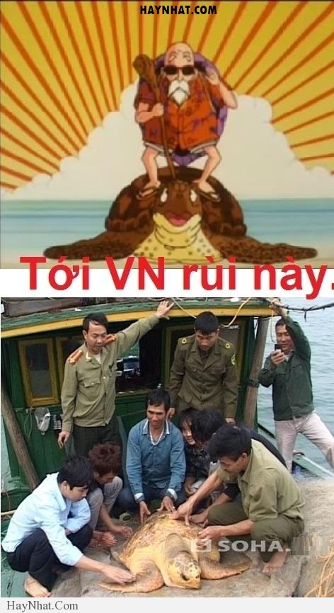 Hình ảnh vui tổng hợp 30313 35