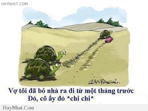 Hình ảnh vui tổng hợp 28313 33