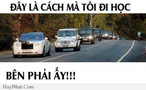 Hình ảnh vui tổng hợp 28313 34
