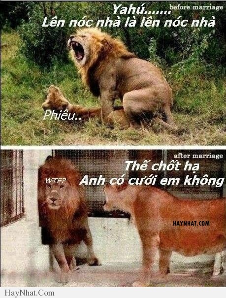 Hình ảnh vui tổng hợp 29313 27