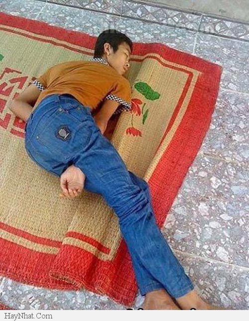 Hình ảnh vui tổng hợp - 17313 40