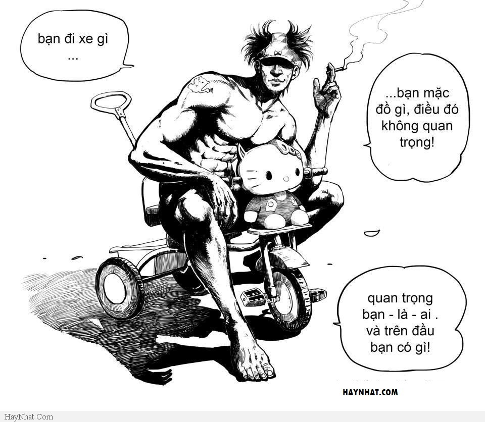 Hình ảnh vui tổng hợp 25313 28