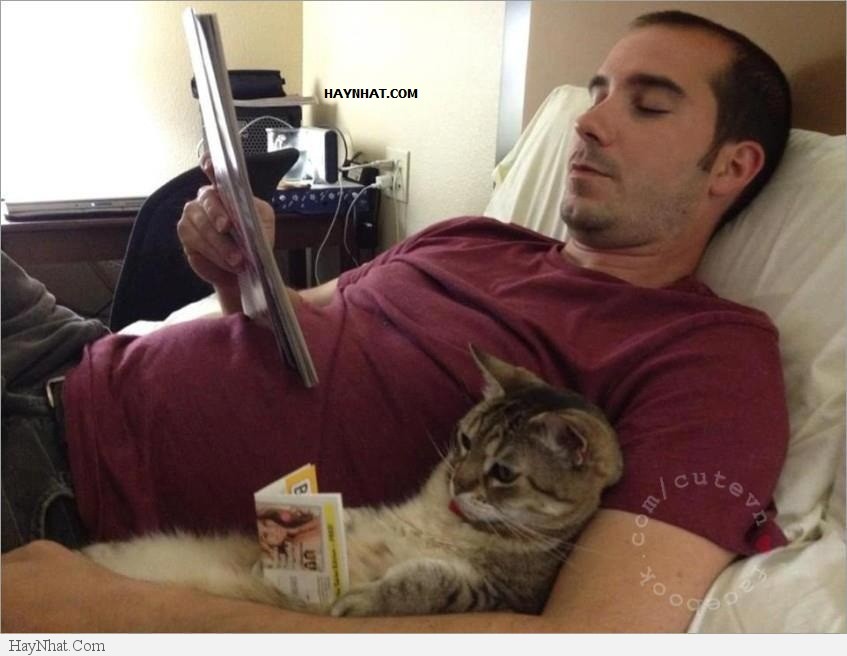 Hình ảnh vui tổng hợp 18313 38