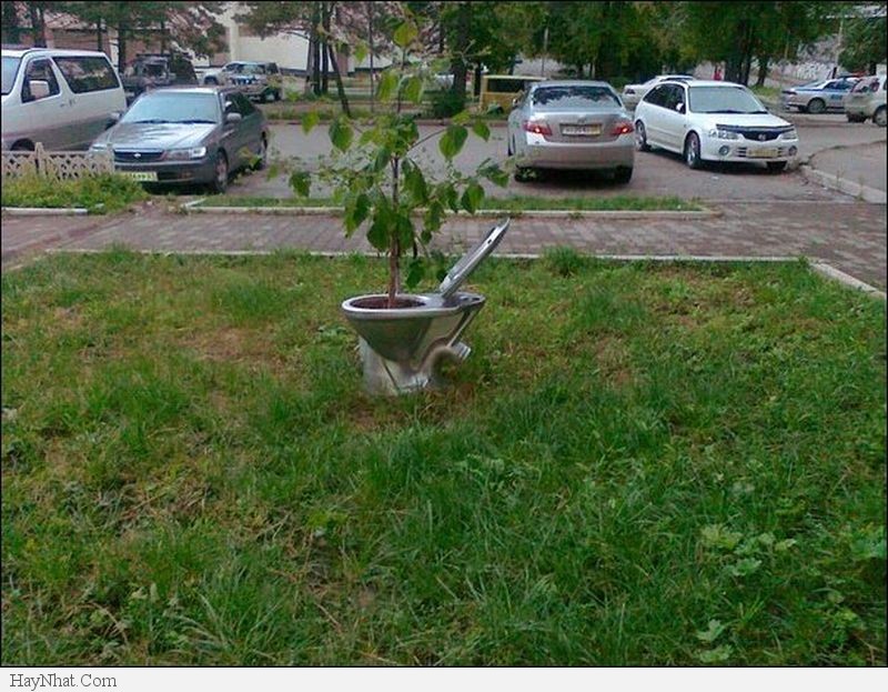 Hình ảnh vui tổng hợp 18313 40