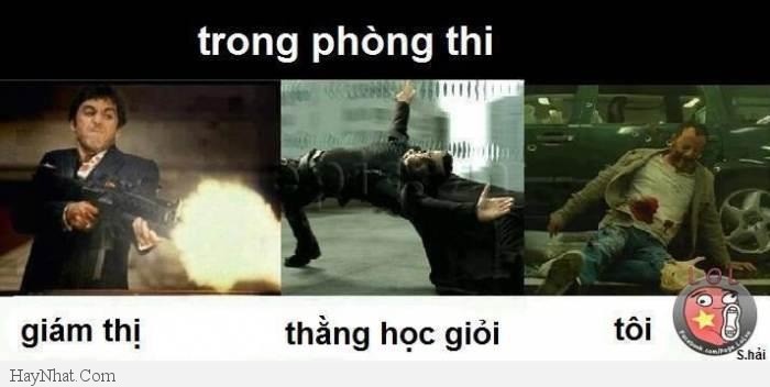 Hình ảnh vui tổng hợp - 11313 28