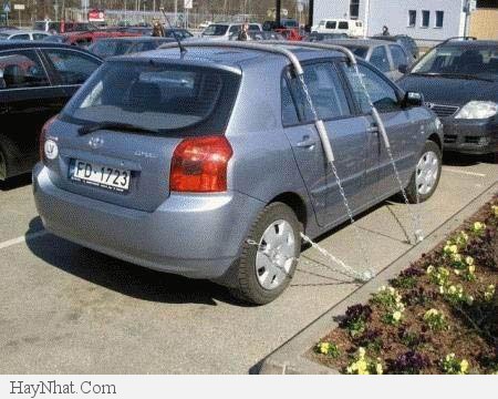 Hình ảnh vui tổng hợp - 11313 32