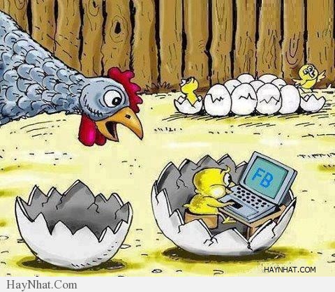 Hình ảnh hài hước 200413 33