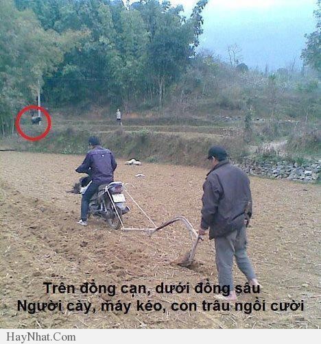 Hình ảnh hài hước 200413 28