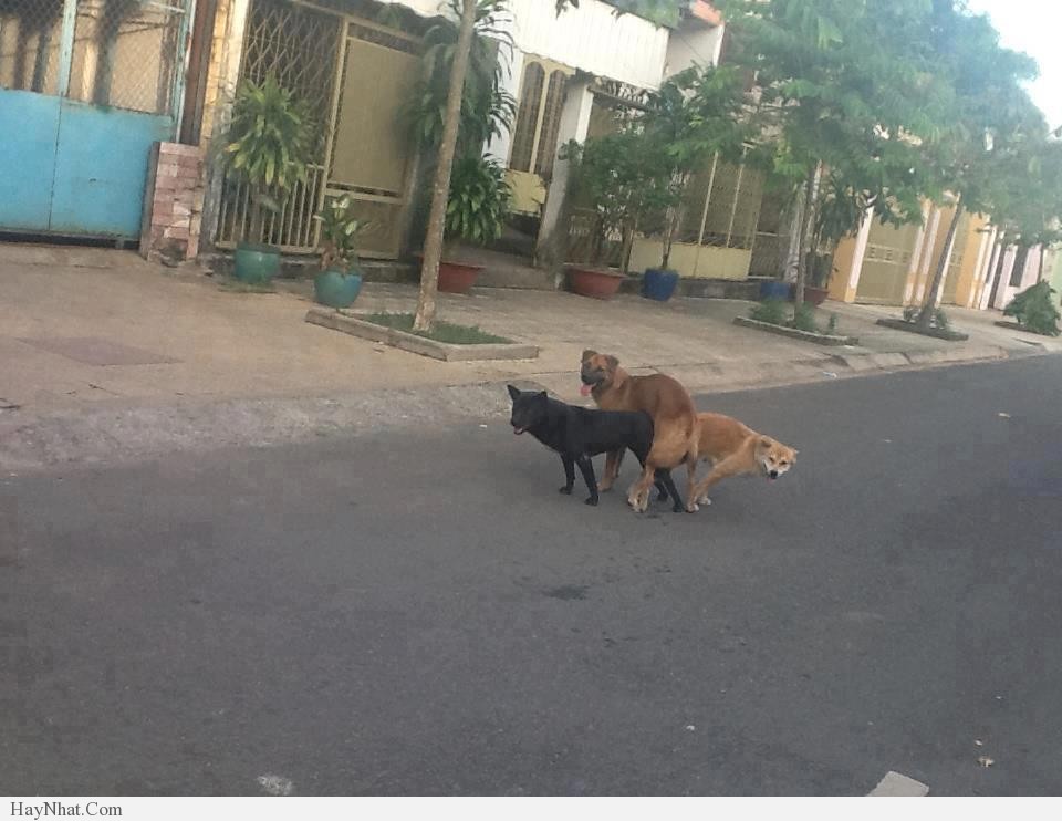 Hình ảnh vui tổng hợp 030413 26