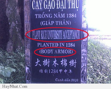 Dịch thuật rất hài hước và khó đỡ! 19
