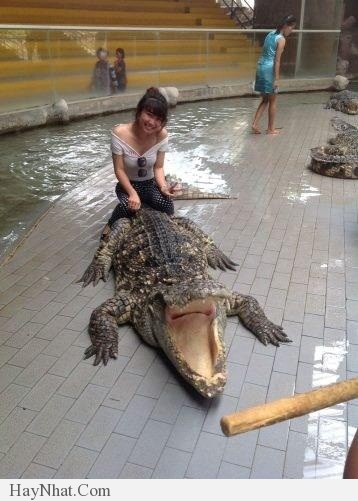 Hình ảnh hài hước tổng hợp 100413 30