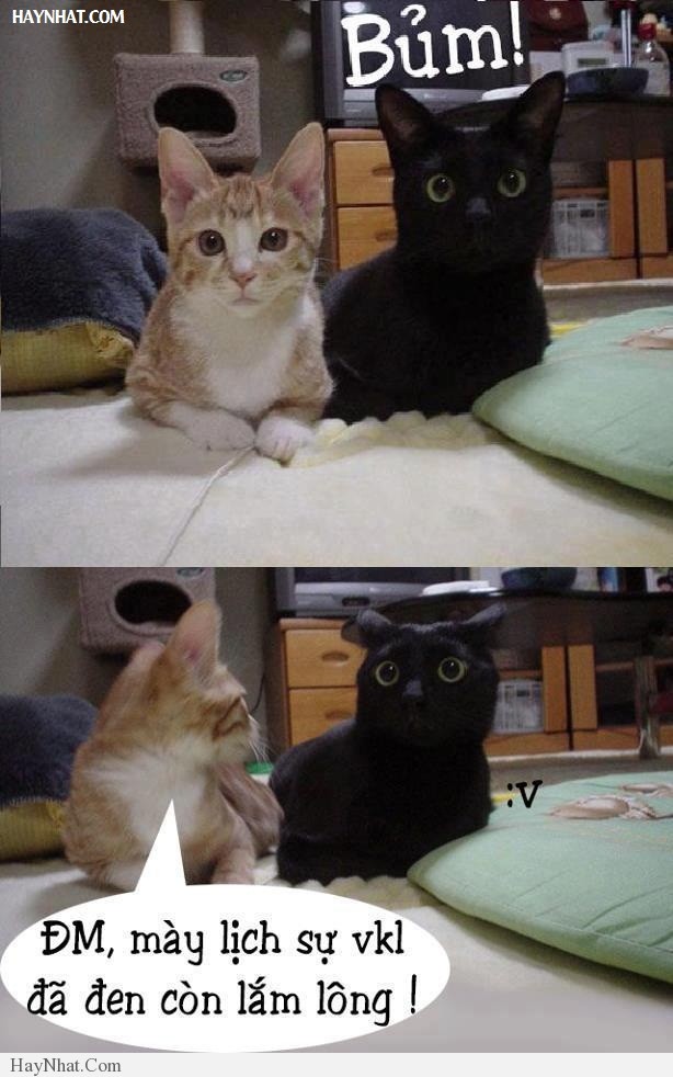 Hình ảnh hài hước tổng hợp 100413 32