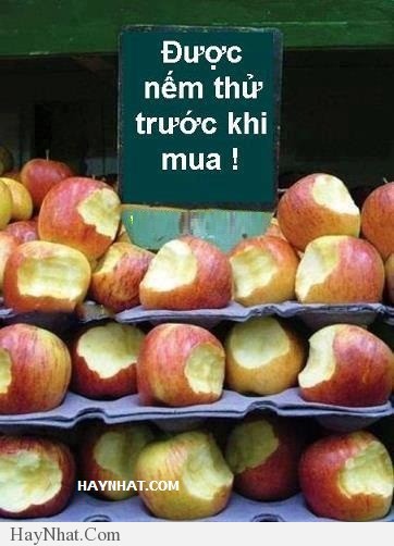 Hình ảnh hài hước tổng hợp 80413 34