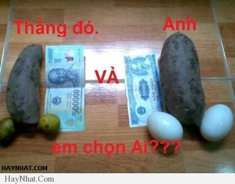 Hình ảnh hài hước - 230413 29