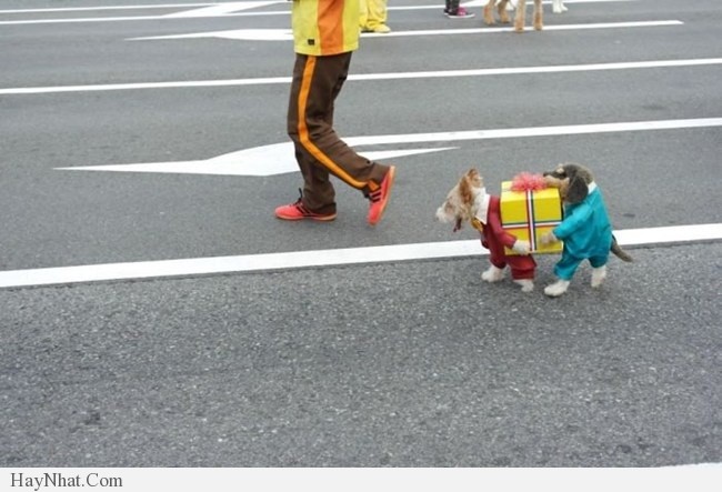 Hình ảnh hài hước - 300413 34