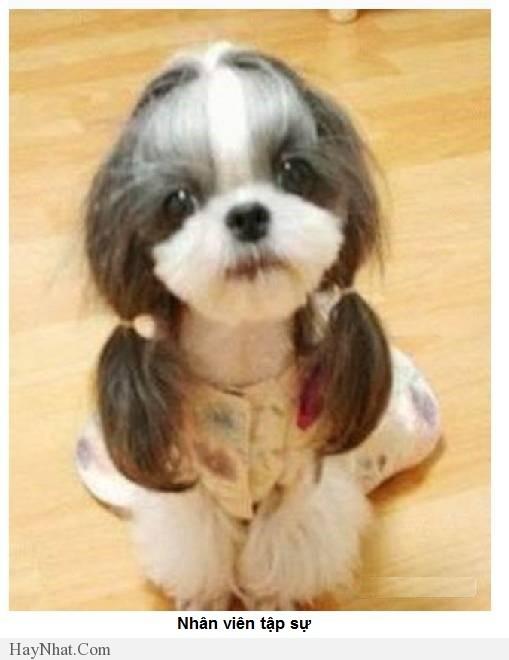 hinh anh vui van phong 2013