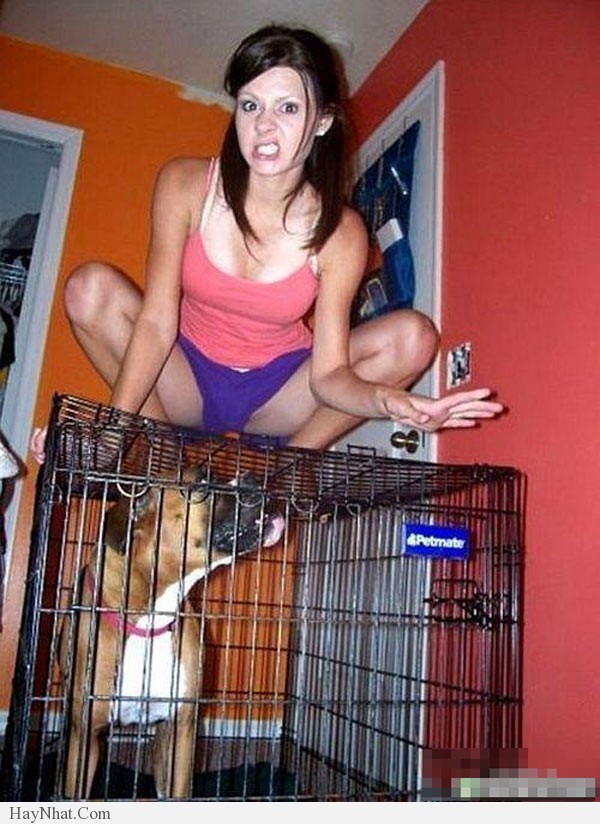 Những hình ảnh hài hước - 60513 32