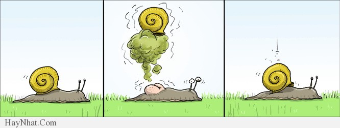 Những hình ảnh hài hước - 030513 27