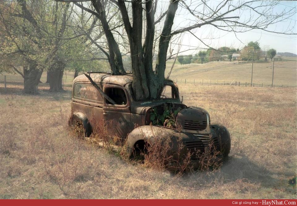 Hình ảnh hài hước 14513 12