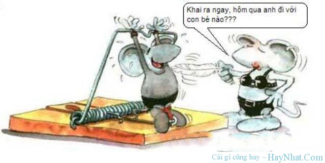 anh vui 2023 2023 tra tan