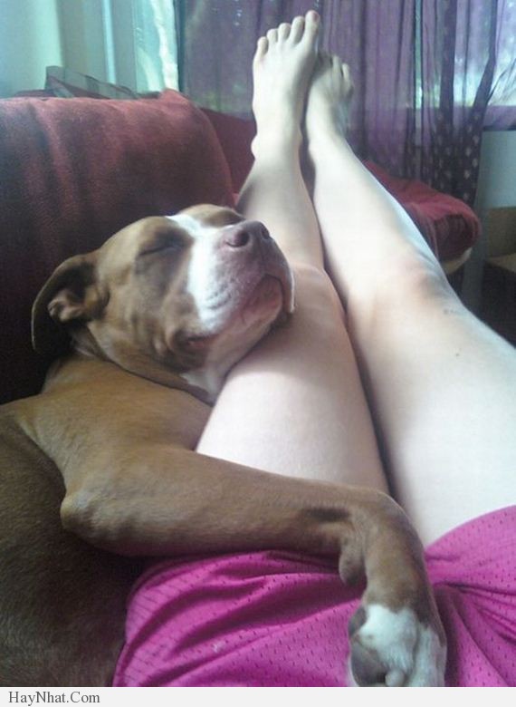 anh vui dong vat cung biet phe