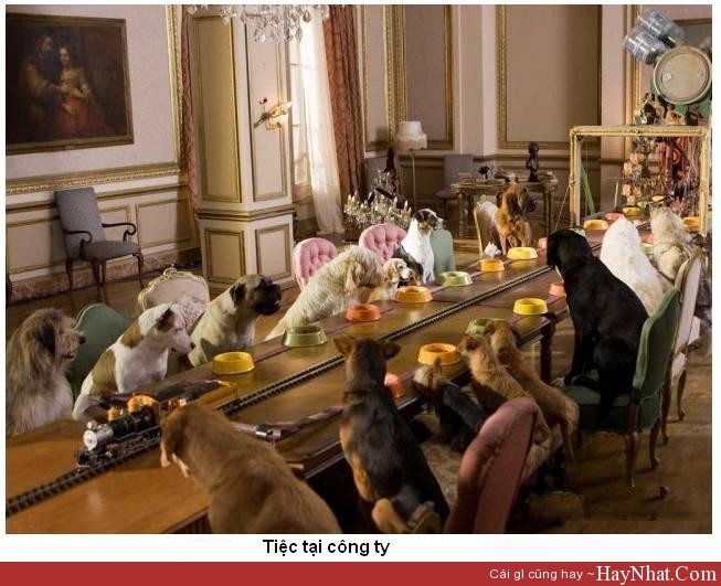 hinh anh anh vui tiec cong ty