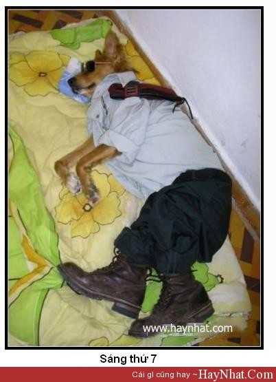 hinh anh vui sang thu