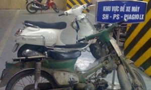 Khu vực để xe SH…