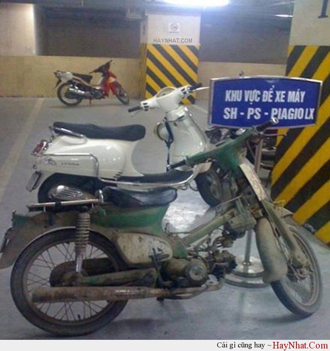 Khu vực để xe SH... 4