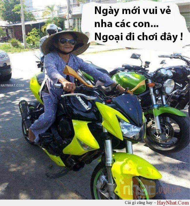 Album hình ảnh vui (60613) 11