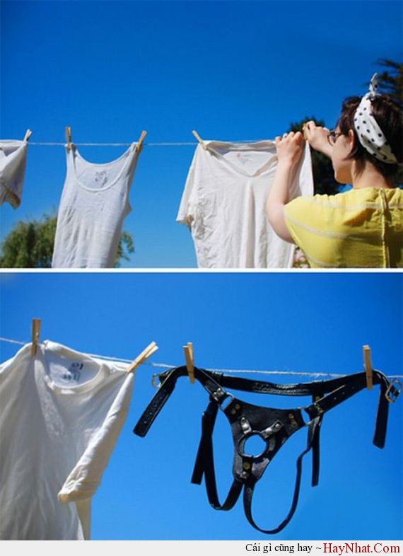 Album hình ảnh vui (60613) 16