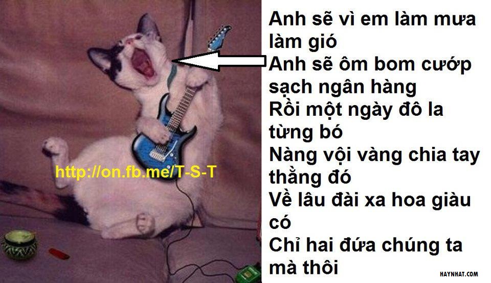 Album hình ảnh vui (40613) 10