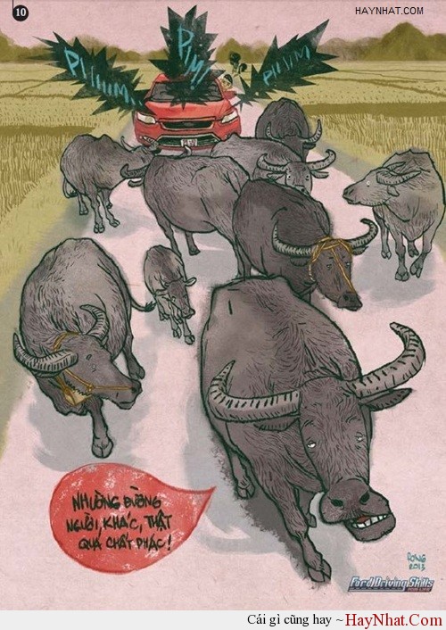 Nghĩ trước khi bấm còi - FULL (Thành Phong) 55