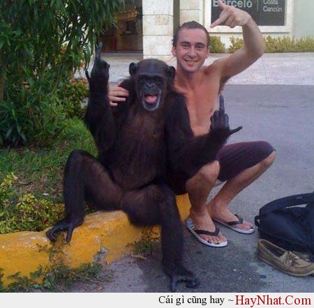 anh hai huoc 2013 2014