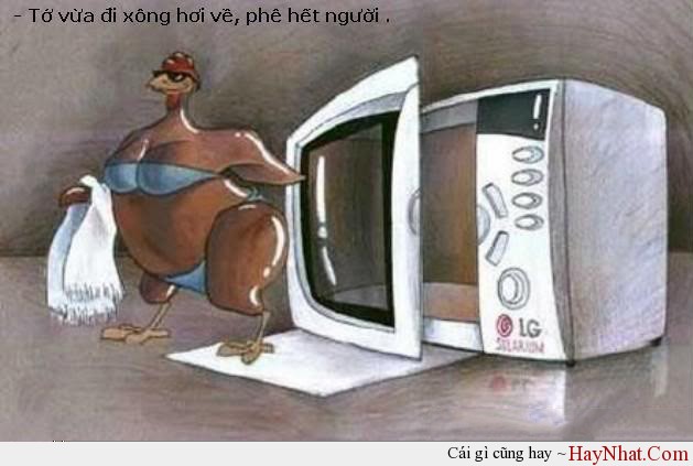 anh vui 2023 2023 di xong hoi