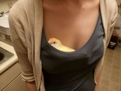 anh vui 2023 cong dung tuyet voi cua vong 1