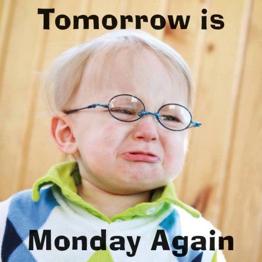 hinh anh vui 2023 choi not hom nay