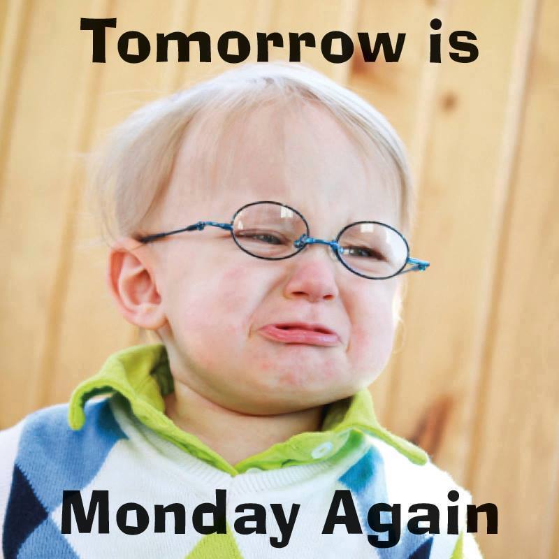 hinh anh vui 2023 choi not hom nay