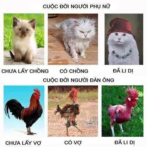 mot su that it ai biet