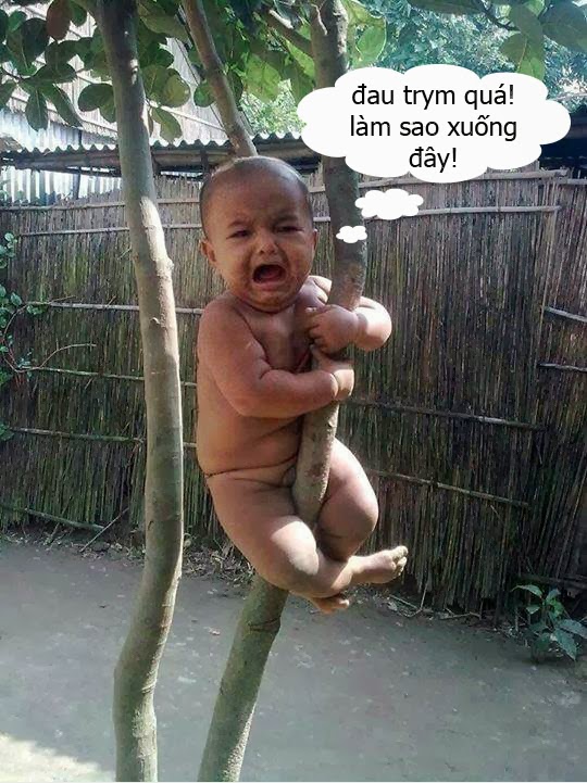 tuoi tho lo dai anh vui 2015