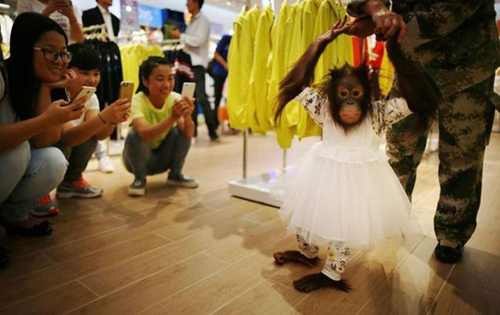 anh vui hanh dong ky la sieu hai huoc